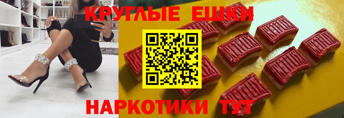 Амурск  Ecstasy Philipp Plein  Вход с VPN 