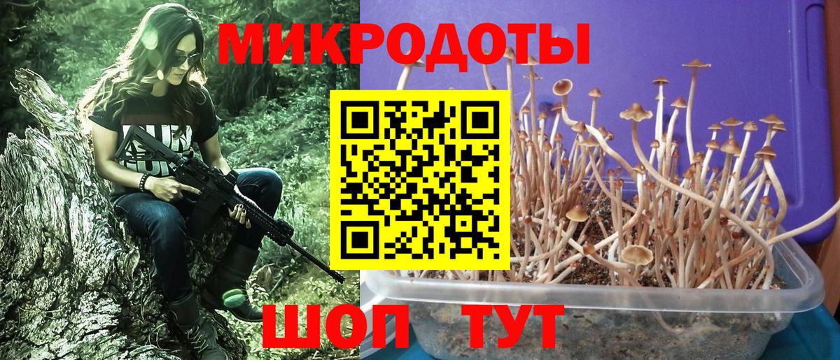 дарнет шоп  Вход с VPN  Псилоцибиновые грибы Psilocybine cubensis  Амурск  Галлюциногенные грибы Cubensis 